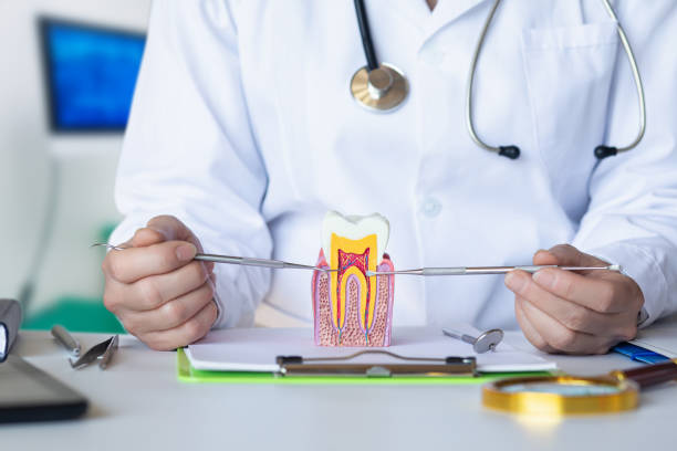 Best Pediatric Emergency Dentist in Parowan, UT